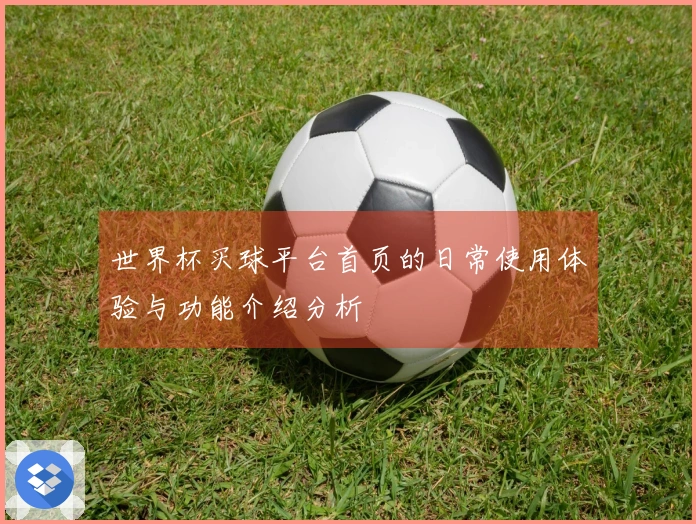 世界杯买球平台首页的日常使用体验与功能介绍分析