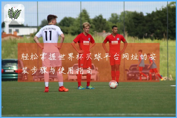 轻松掌握世界杯买球平台网址的安装步骤与使用指南