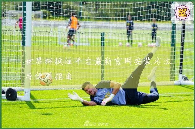 世界杯投注平台最新官网安装方法与使用指南