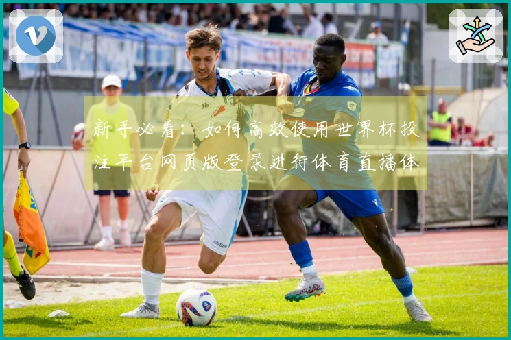 新手必看：如何高效使用世界杯投注平台网页版登录进行体育直播体验指南