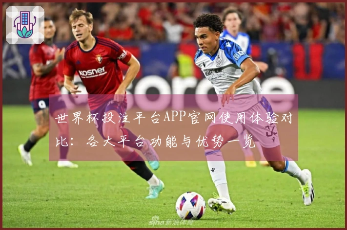 世界杯投注平台APP官网使用体验对比：各大平台功能与优势一览