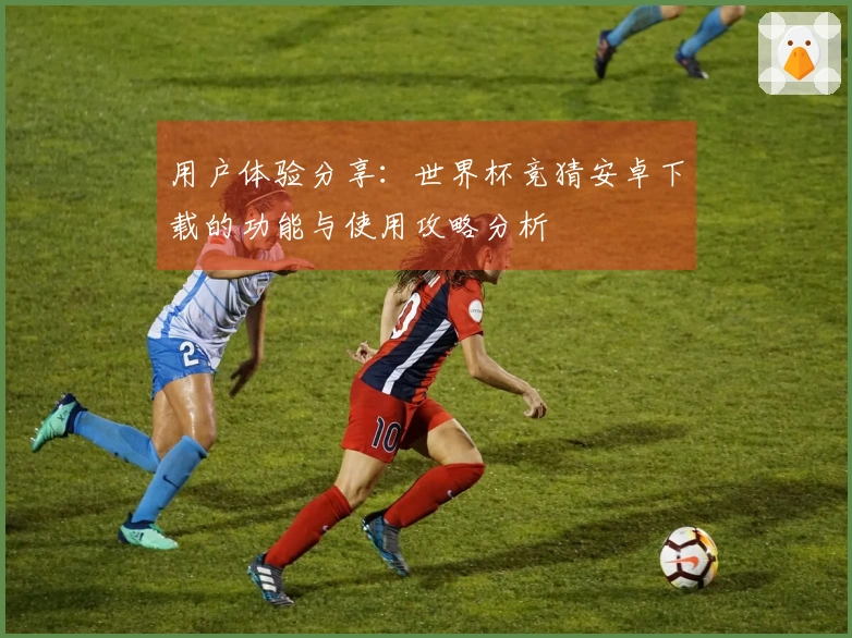 用户体验分享：世界杯竞猜安卓下载的功能与使用攻略分析