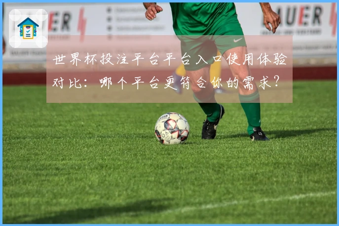 世界杯投注平台平台入口使用体验对比：哪个平台更符合你的需求？