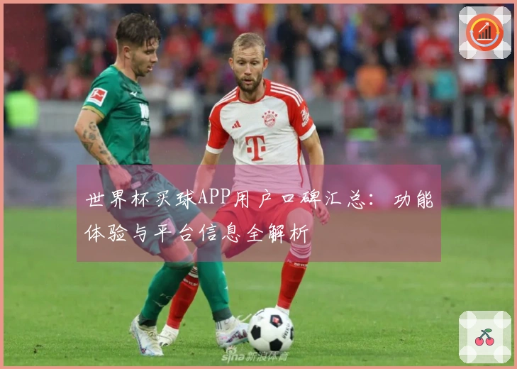 世界杯买球APP用户口碑汇总：功能体验与平台信息全解析