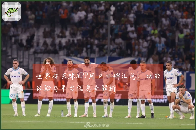 世界杯买球APP用户口碑汇总:功能体验与平台信息全解析