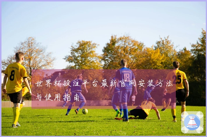 世界杯投注平台最新官网安装方法与使用指南